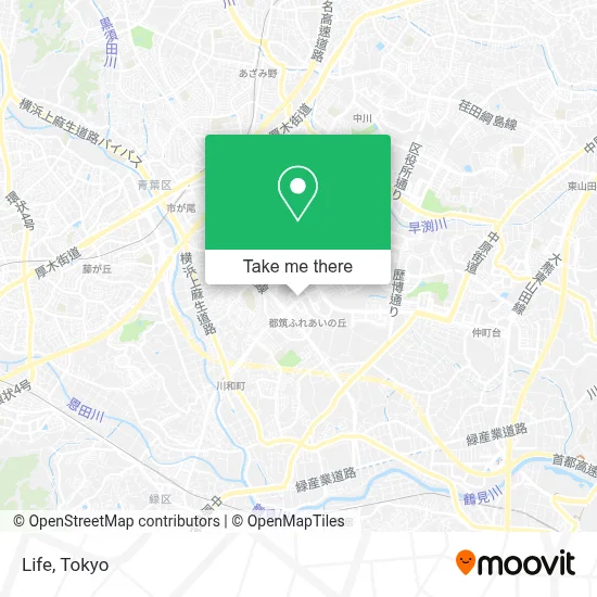 Life map