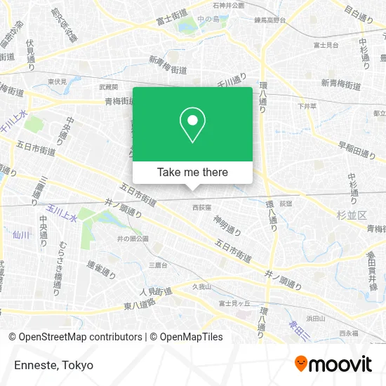 Enneste map