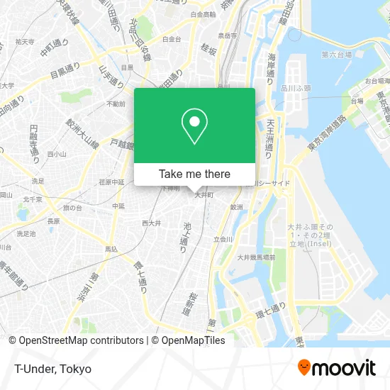 T-Under map