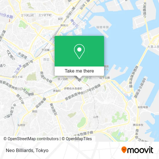 Neo Billiards map