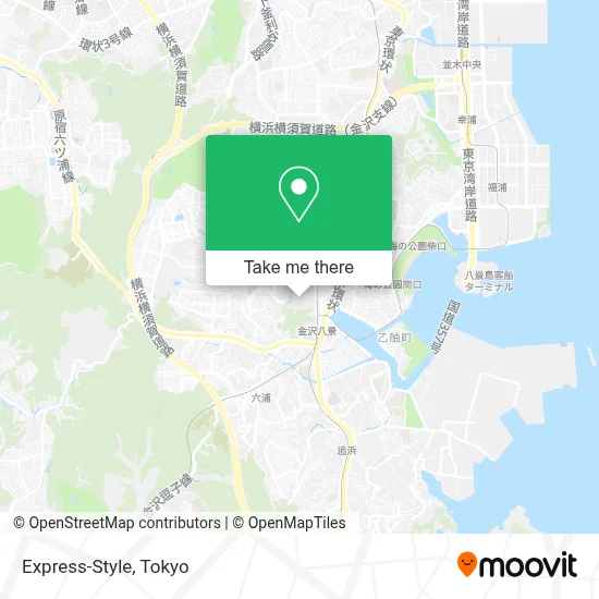 Express-Style map