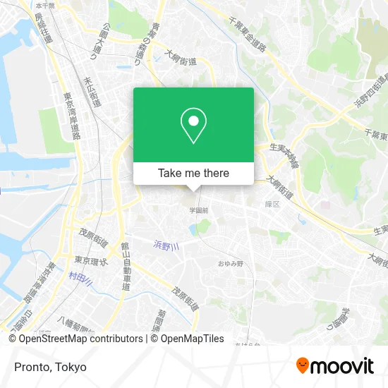 Pronto map