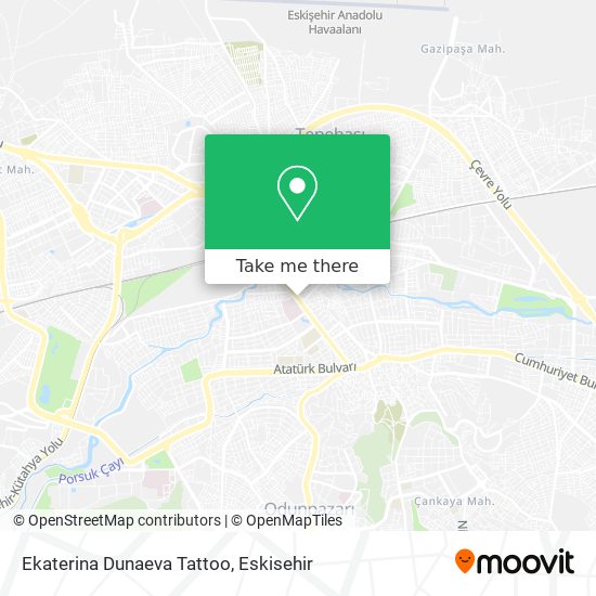 Ekaterina Dunaeva Tattoo map