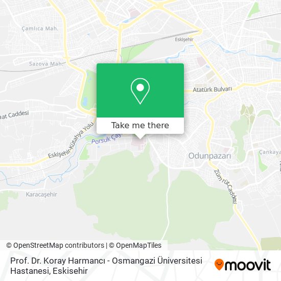 Prof. Dr. Koray Harmancı - Osmangazi Üniversitesi Hastanesi map