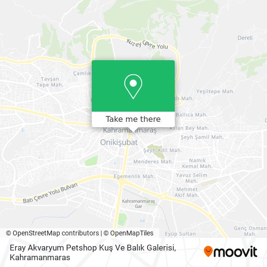 Eray Akvaryum Petshop Kuş Ve Balık Galerisi map