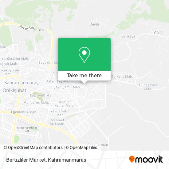 Bertizliler Market map