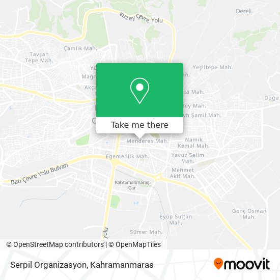 Serpil Organizasyon map