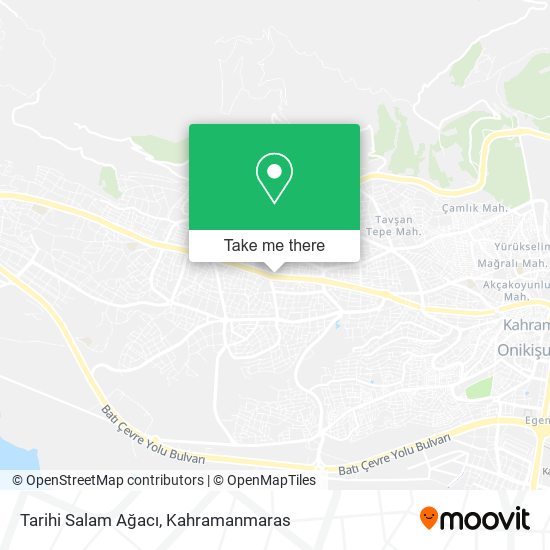 Tarihi Salam Ağacı map