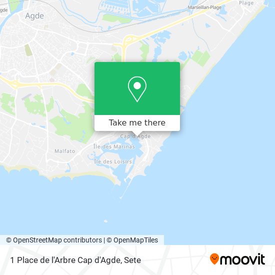 1 Place de l'Arbre Cap d'Agde map