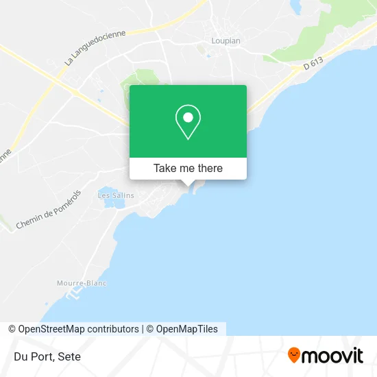Du Port map