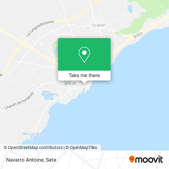 Navarro Antoine map