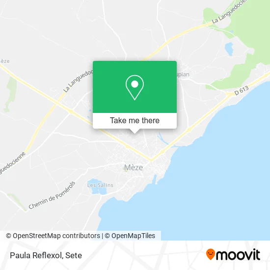 Paula Reflexol map