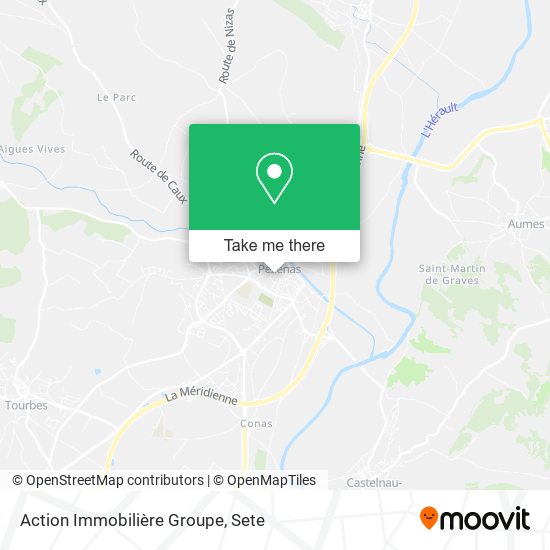 Action Immobilière Groupe map