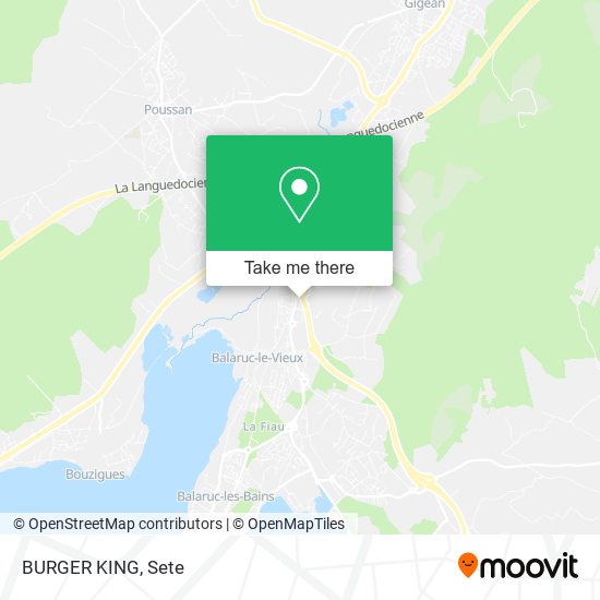 BURGER KING map