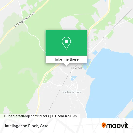 Intellagence Bloch map