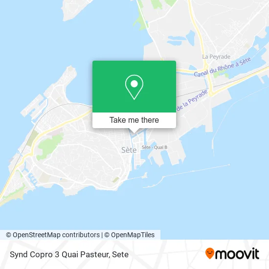 Synd Copro 3 Quai Pasteur map