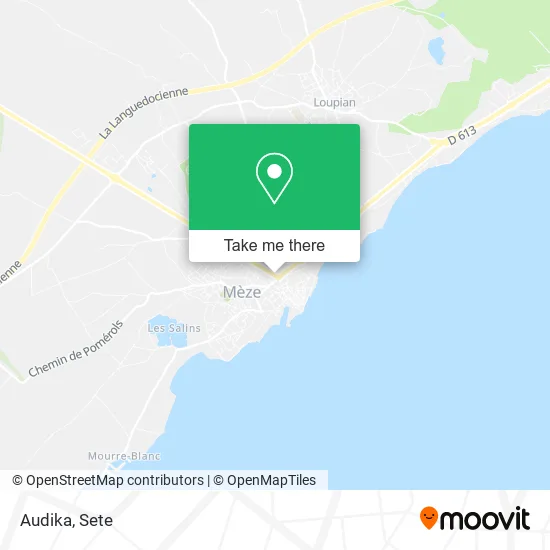 Audika map