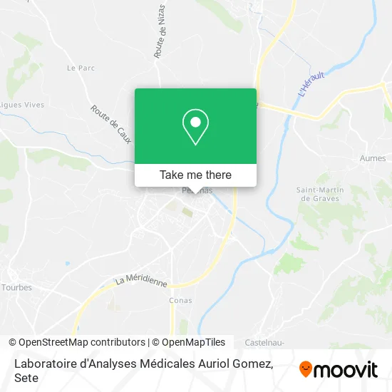 Laboratoire d'Analyses Médicales Auriol Gomez map