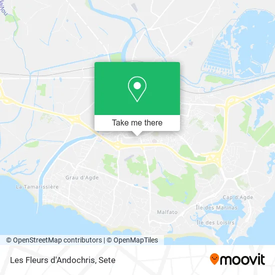 Les Fleurs d'Andochris map
