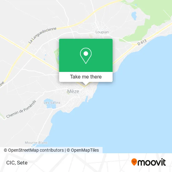 CIC map