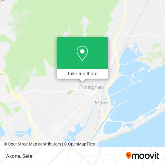 Axone map