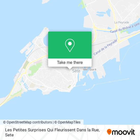 Les Petites Surprises Qui Fleurissent Dans la Rue map