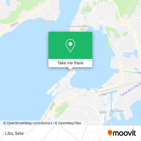 Libz map