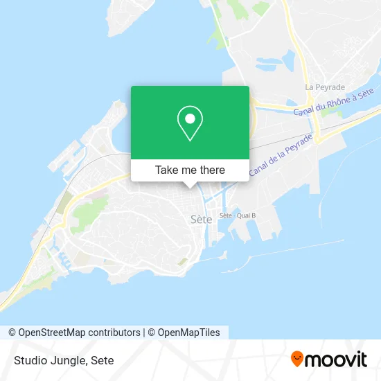 Studio Jungle map