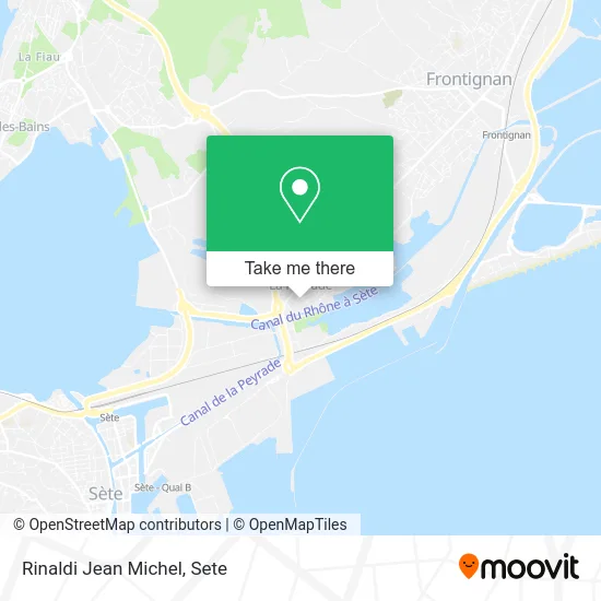 Rinaldi Jean Michel map