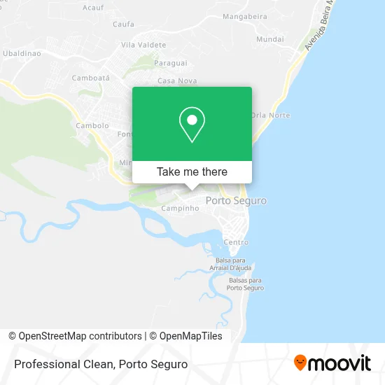 Professional Clean map