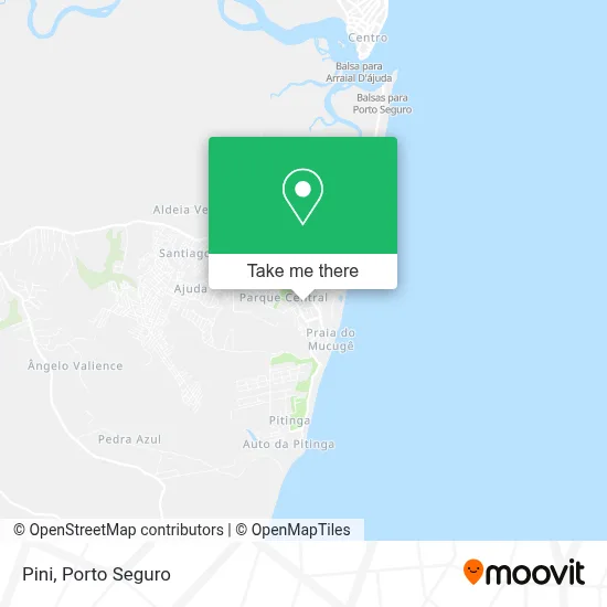 Pini map