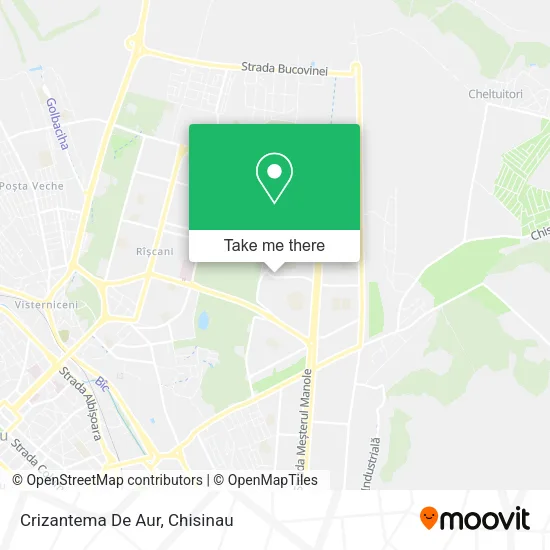 Crizantema De Aur map