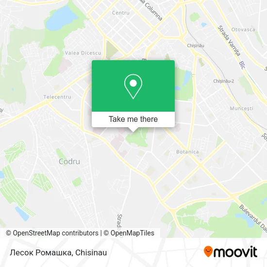 Карта Лесок Ромашка