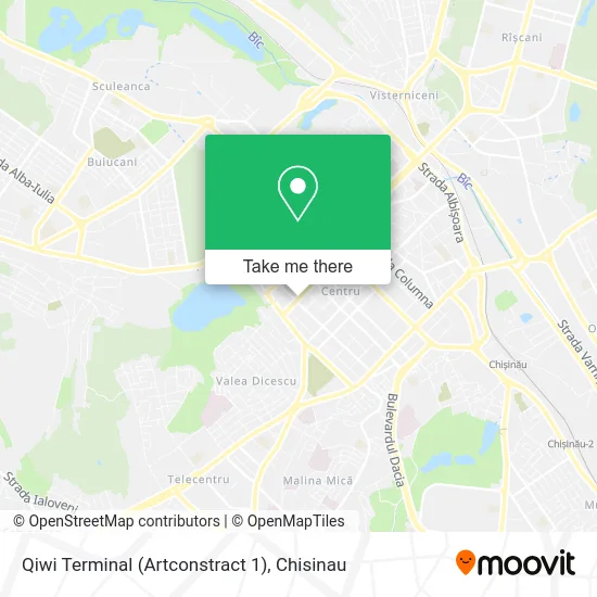 Карта Qiwi Terminal (Artconstract 1)