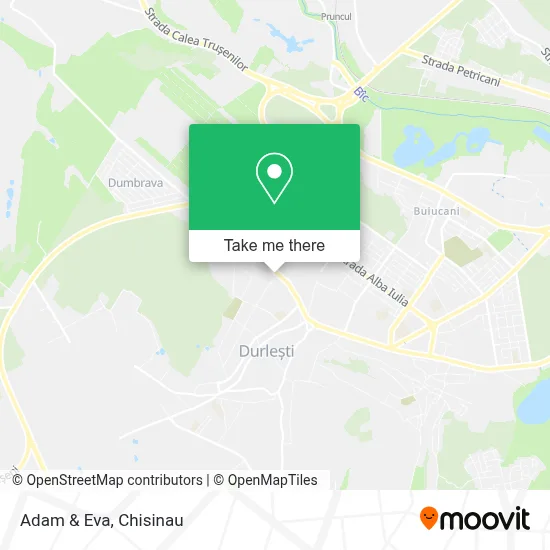 Adam & Eva map