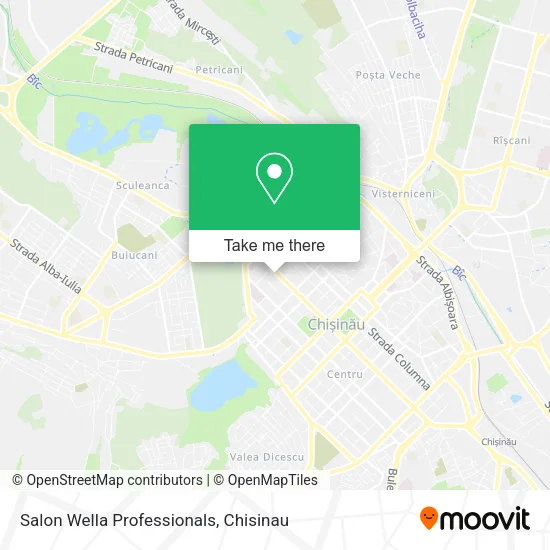 Карта Salon Wella Professionals