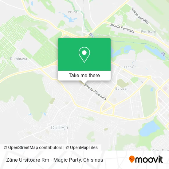 Карта Zâne Ursitoare Rm - Magic Party