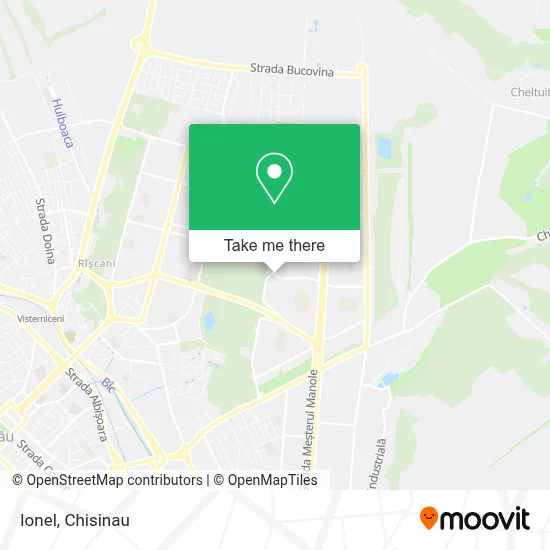 Ionel map