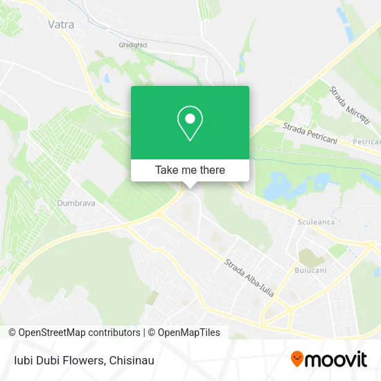 Карта Iubi Dubi Flowers