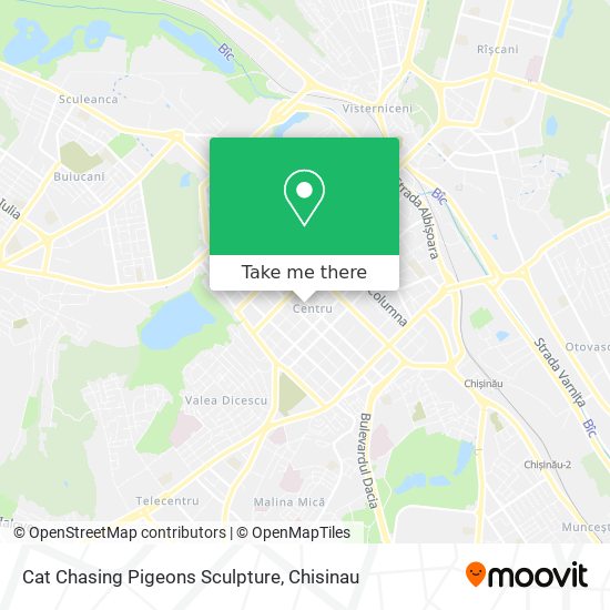 Cat Chasing Pigeons Sculpture map