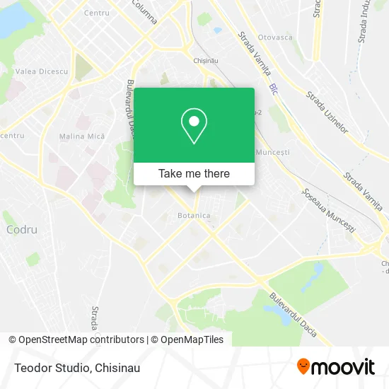 Карта Teodor Studio