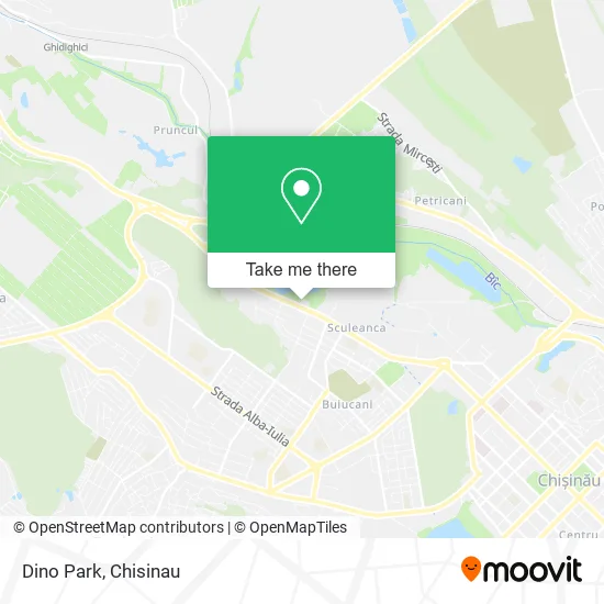 Карта Dino Park