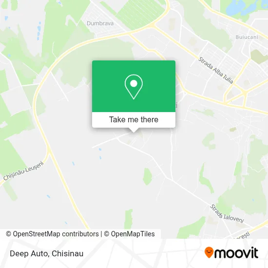 Deep Auto map