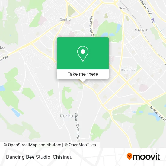 Dancing Bee Studio map