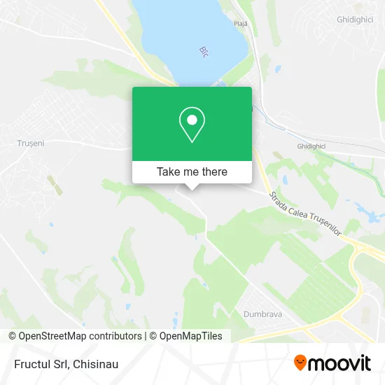 Fructul Srl map