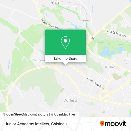 Junior Academy Intellect map