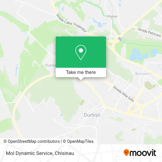 Mol Dynamic Service map