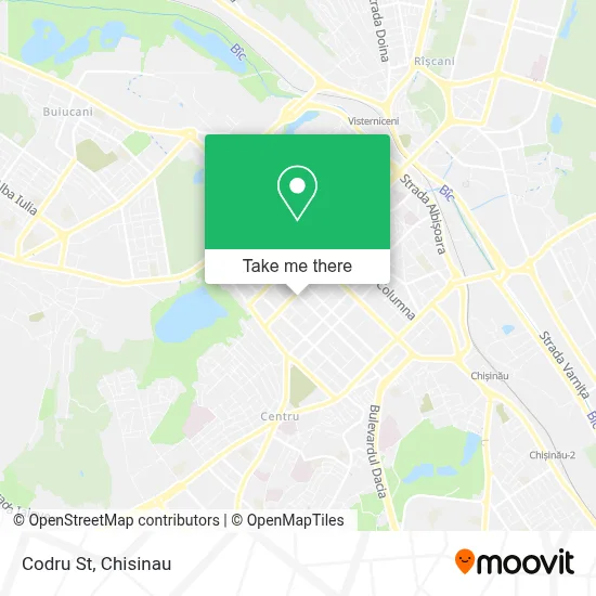Codru St map