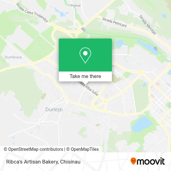 Ribca's Artisan Bakery map
