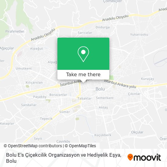 Bolu E's Çiçekcilik Organizasyon ve Hediyelik Eşya map